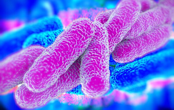 07 – LEGIONELLA: GESTIONE DEGLI IMPIANTI IDRAULICI E AERAULICI IN RELAZIONE AL RISCHIO BIOLOGICO